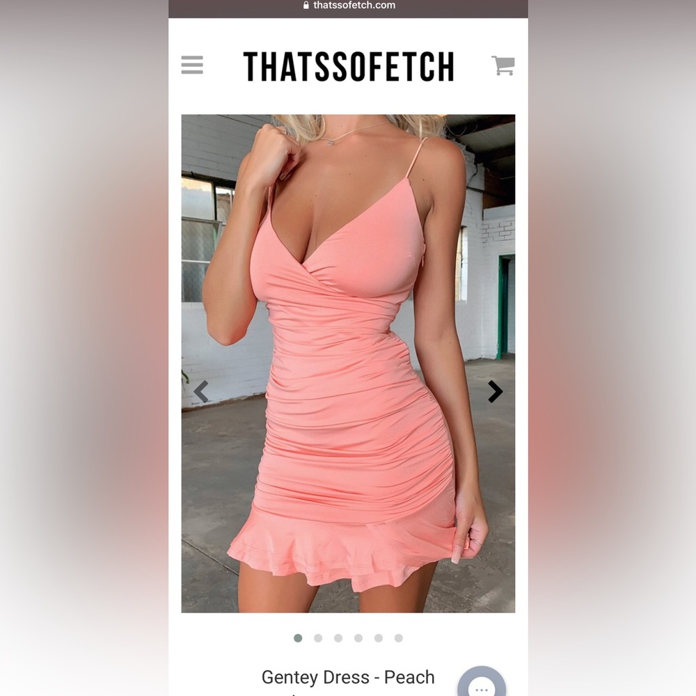 BRAND NEW W/ TAGS never before worn. That’s So Fetch Dress